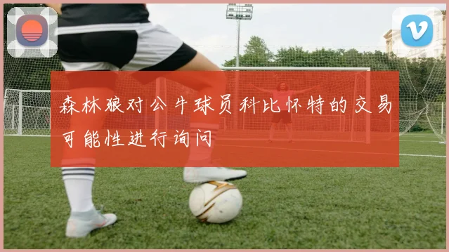 森林狼对公牛球员科比怀特的交易可能性进行询问