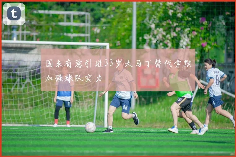 国米有意引进33岁大马丁替代索默加强球队实力