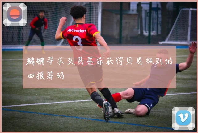 鹈鹕寻求交易墨菲获得贝恩级别的回报筹码